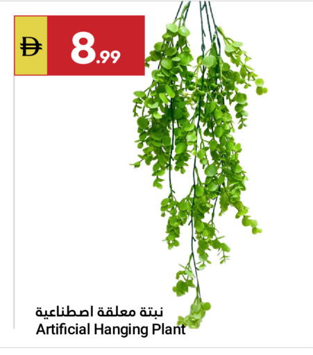 available at جراند الإمارات للتسوق in الإمارات العربية المتحدة , الامارات - أبو ظبي