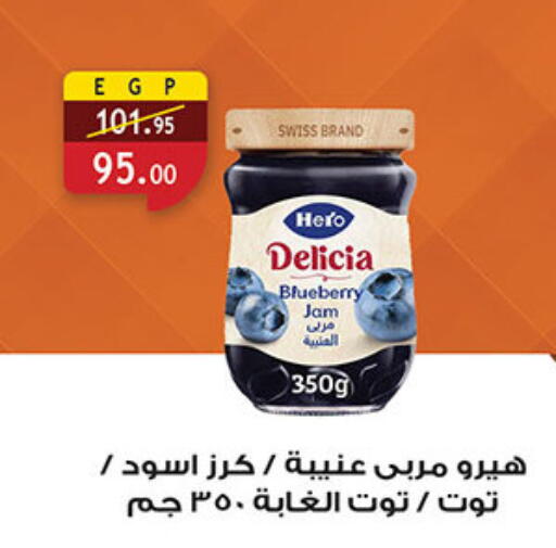 Blueberry BlueBerry available at Al Rayah Market   in Egypt - Cairo