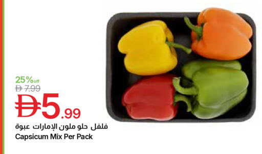 Capsicum available at Emirates Co-Operative Society in UAE - Dubai