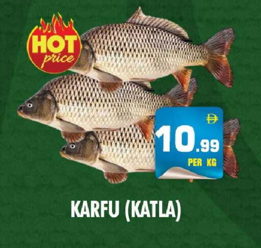 available at نايت تو نايت in الإمارات العربية المتحدة , الامارات - الشارقة / عجمان