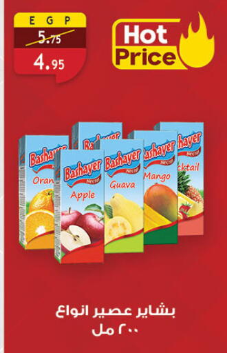Apple Guava Mango available at Al Rayah Market   in Egypt - Cairo