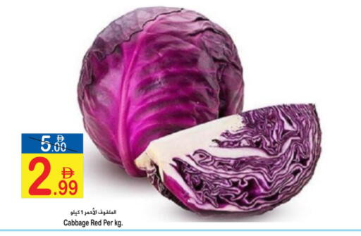 Cabbage available at Sun and Sand Hypermarket in UAE - Ras al Khaimah