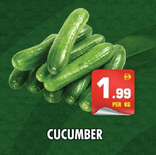 Cucumber available at نايت تو نايت in الإمارات العربية المتحدة , الامارات - الشارقة / عجمان