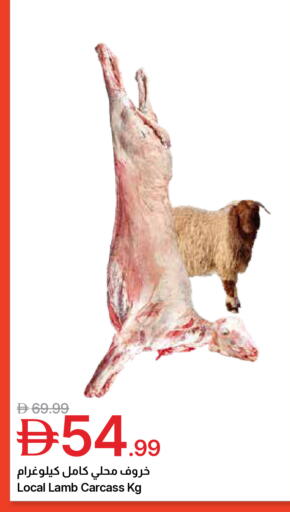 available at جمعية الامارات التعاونية in الإمارات العربية المتحدة , الامارات - دبي