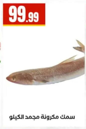 available at مارت فيل in Egypt - القاهرة