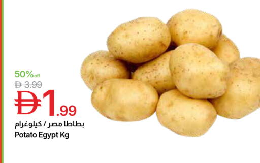 Potato from Egypt available at Emirates Co-Operative Society in UAE - Dubai