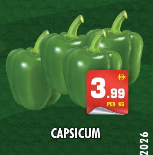 Capsicum available at نايت تو نايت in الإمارات العربية المتحدة , الامارات - الشارقة / عجمان