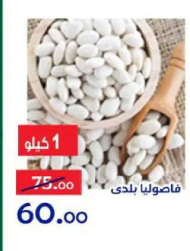 available at الدنيا بخير in Egypt - القاهرة