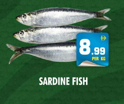 available at نايت تو نايت in الإمارات العربية المتحدة , الامارات - الشارقة / عجمان