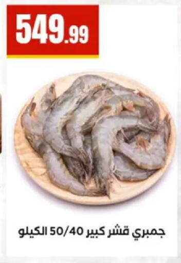 available at مارت فيل in Egypt - القاهرة