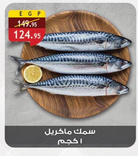 available at Al Rayah Market   in Egypt - Cairo