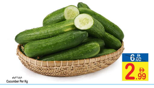 Cucumber available at Sun and Sand Hypermarket in UAE - Ras al Khaimah