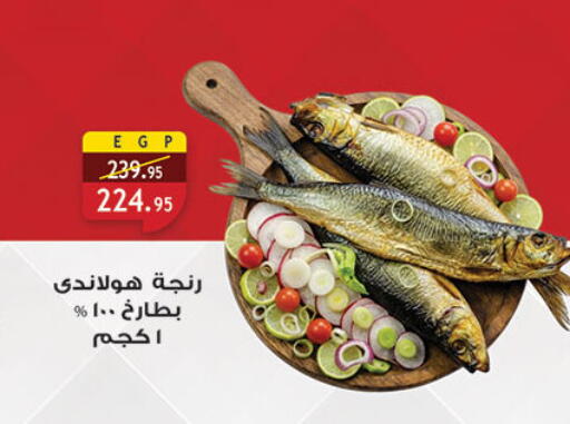available at Al Rayah Market   in Egypt - Cairo