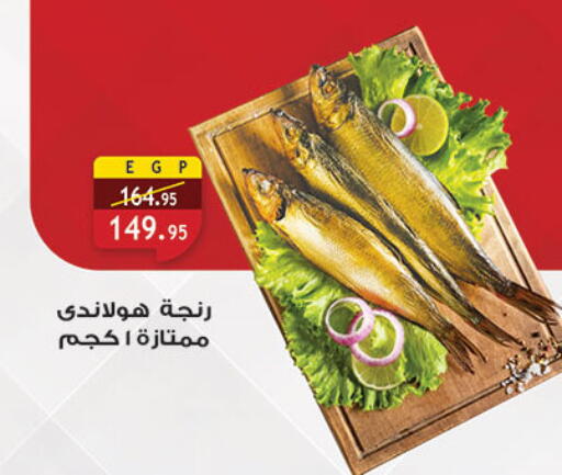 available at Al Rayah Market   in Egypt - Cairo