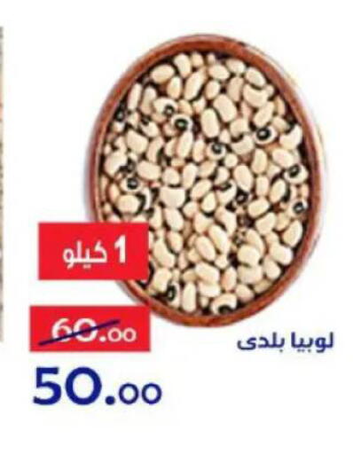 available at Aldoneia Bkheir ismailia  in Egypt - Cairo