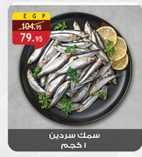 available at Al Rayah Market   in Egypt - Cairo