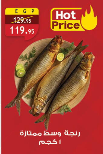 available at Al Rayah Market   in Egypt - Cairo