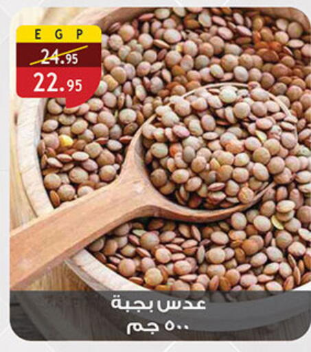 available at Al Rayah Market   in Egypt - Cairo
