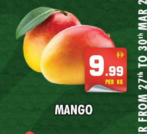 Mango available at NIGHT TO NIGHT DEPARTMENT STORE in UAE - Dubai