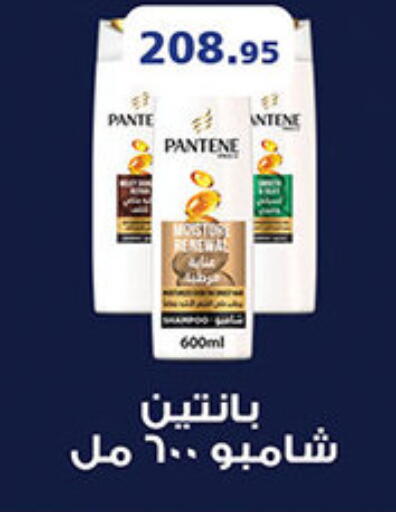 available at Al Rayah Market   in Egypt - Cairo