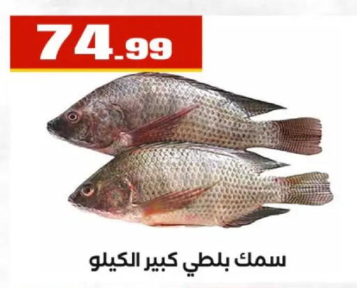 available at مارت فيل in Egypt - القاهرة