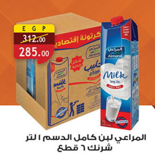 available at Al Rayah Market   in Egypt - Cairo