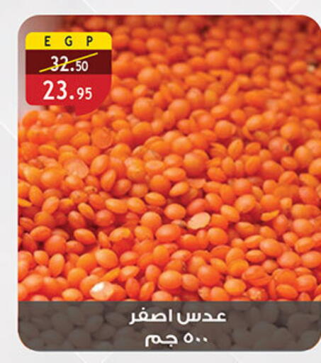 available at Al Rayah Market   in Egypt - Cairo