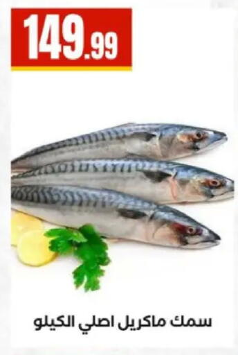 available at مارت فيل in Egypt - القاهرة