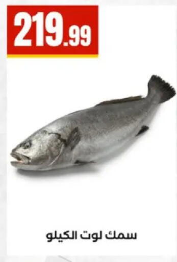 available at مارت فيل in Egypt - القاهرة