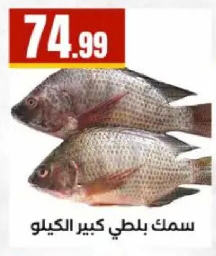 available at مارت فيل in Egypt - القاهرة