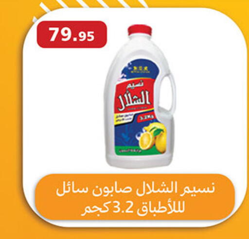 available at Al Rayah Market   in Egypt - Cairo