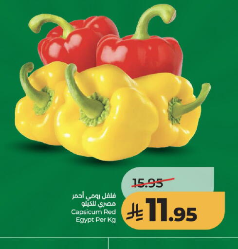 Capsicum from Egypt available at LULU Hypermarket in KSA, Saudi Arabia, Saudi - Jeddah