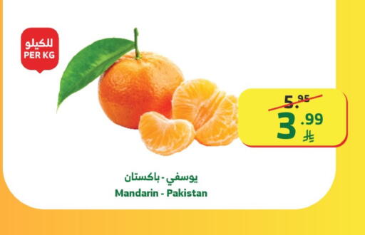 Mandarin from Pakistan available at الراية in مملكة العربية السعودية, السعودية, سعودية - تبوك
