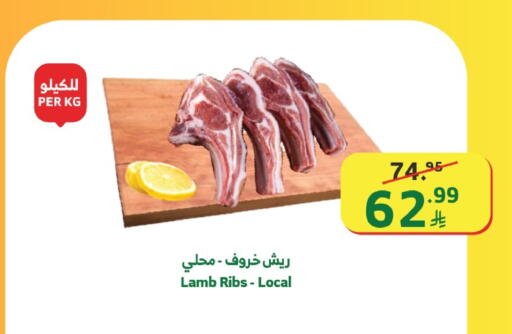 available at Al Raya in KSA, Saudi Arabia, Saudi - Jeddah
