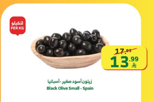 available at Al Raya in KSA, Saudi Arabia, Saudi - Tabuk