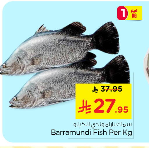 available at نستو in مملكة العربية السعودية, السعودية, سعودية - الخبر‎