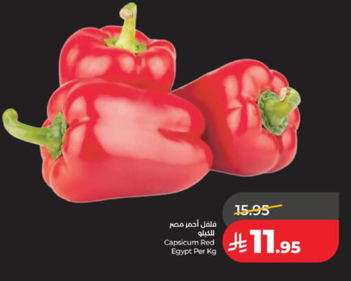 Capsicum from Egypt available at لولو هايبرماركت in مملكة العربية السعودية, السعودية, سعودية - الخبر‎