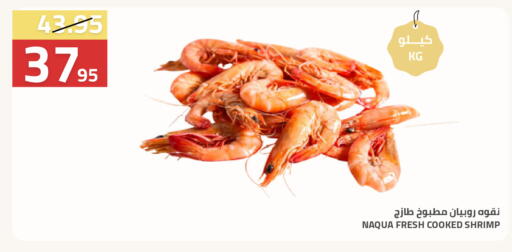 available at Astra Markets in KSA, Saudi Arabia, Saudi - Tabuk