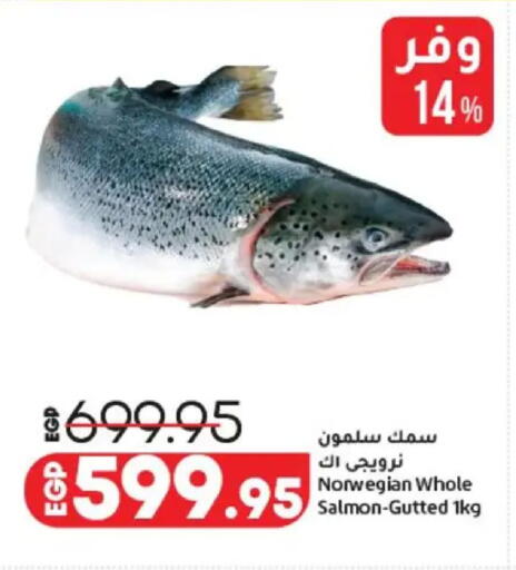available at Lulu Hypermarket  in Egypt - Cairo