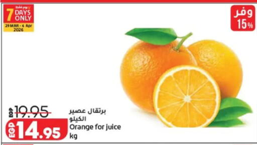 Orange available at Lulu Hypermarket  in Egypt - Cairo