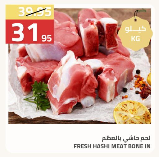 available at أسواق أسترا in مملكة العربية السعودية, السعودية, سعودية - تبوك