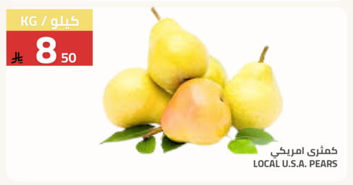 available at Astra Markets in KSA, Saudi Arabia, Saudi - Tabuk