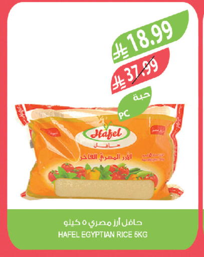 available at Farm  in KSA, Saudi Arabia, Saudi - Al-Kharj