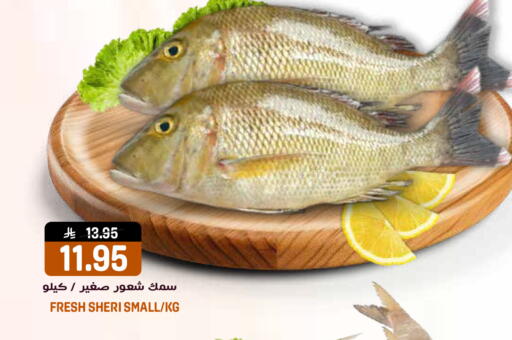 available at جراند هايبر in مملكة العربية السعودية, السعودية, سعودية - الرياض