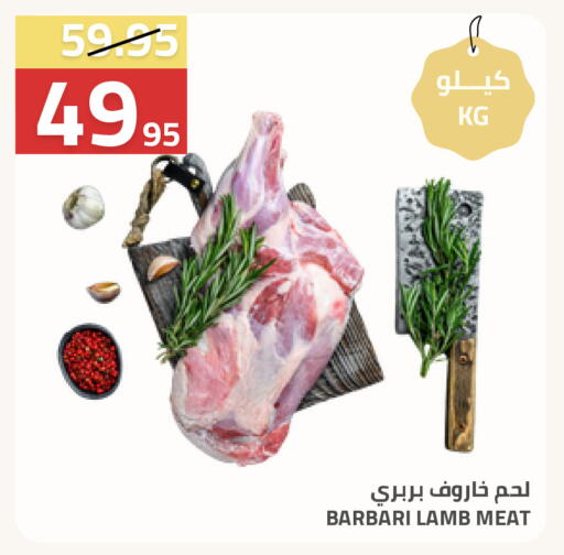 available at أسواق أسترا in مملكة العربية السعودية, السعودية, سعودية - تبوك