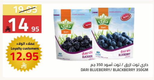 Blueberry BlueBerry Blackberry available at Astra Markets in KSA, Saudi Arabia, Saudi - Tabuk
