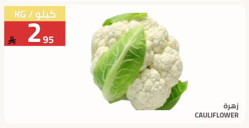 Cauliflower available at Astra Markets in KSA, Saudi Arabia, Saudi - Tabuk