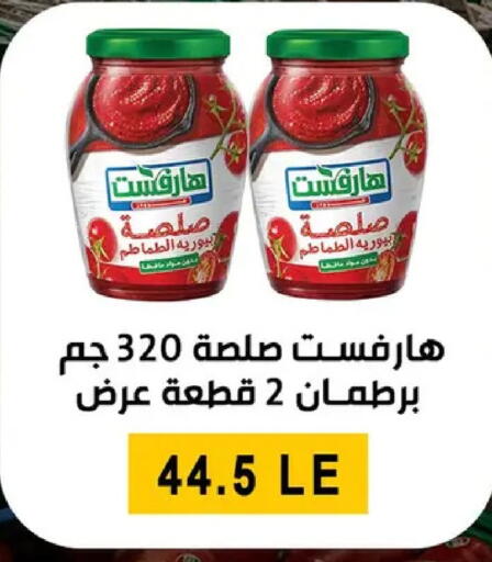 available at بن سليمان in Egypt - القاهرة