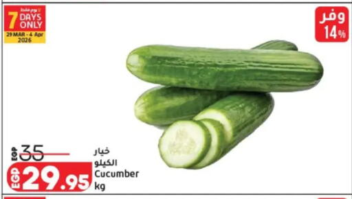 Cucumber available at Lulu Hypermarket  in Egypt - Cairo