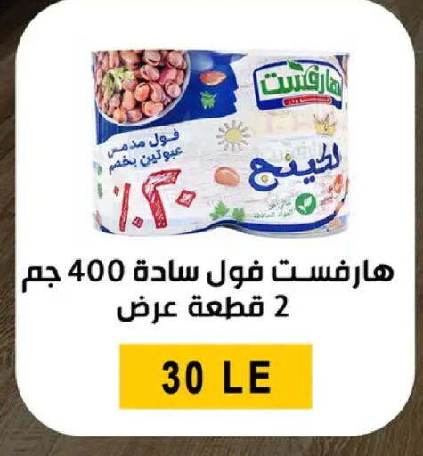 available at بن سليمان in Egypt - القاهرة